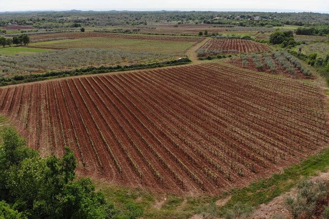 Private Sparkling Wine Tasting in Istria - FAQ