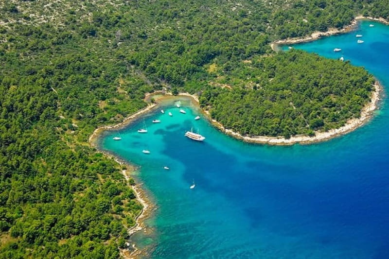Private speedboat adventure to Zadar Islands with drinks - The Guides and Whats Included