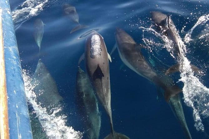 Private Sunset Cruise - The Experience in Detail: What’s Included and What to Expect