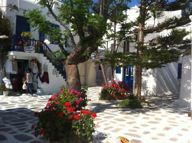Private: Taste of Mykonos: Panoramic Views & Local Delights - Discovering the Best of Mykonos in Four Hours