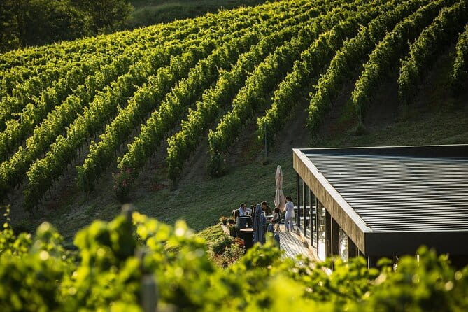 Private Tasting Expedition Along Romanias Most Famous Wine Route - Visiting Dealu Mare Vineyard: What to Expect