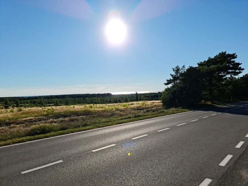 Private Tour: Amber Catching in Curonian Spit from Klaipeda - Amber Catching: Hands-On Treasure Hunting