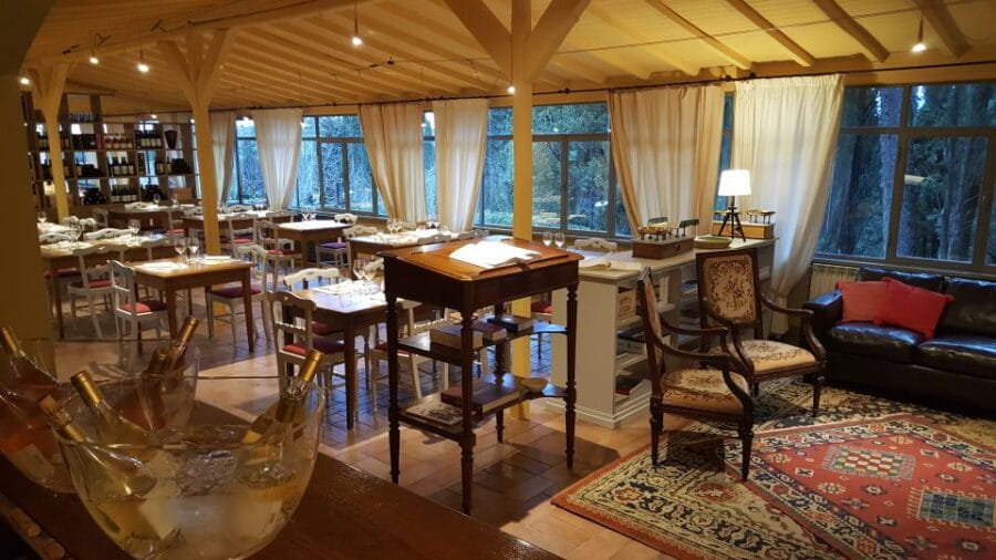 Private Tour and Wine Tasting at Castle Wineries in Chianti - The Wine Tasting Experience: Beyond Just Sipping