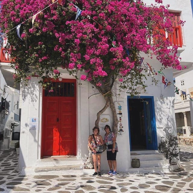 Private Tour: Customize Your Perfect Day in Mykonos - Visiting Mykonos: What the Itinerary Offers
