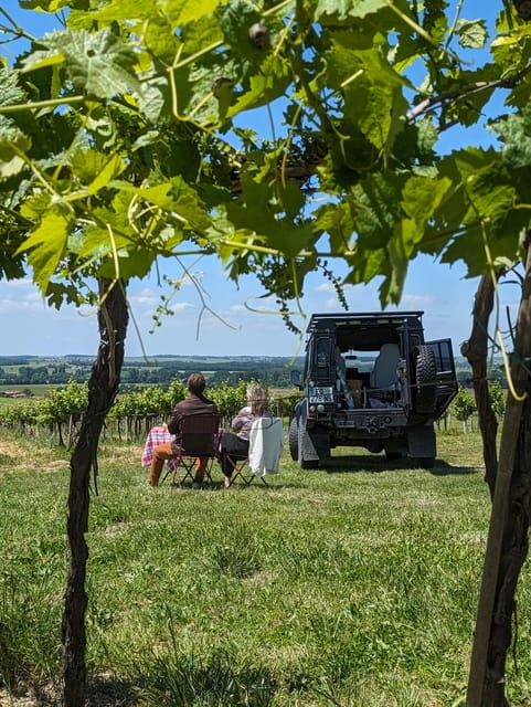 Private tour Day in the heart of the Cognac vineyards - Engaging Tastings and Food