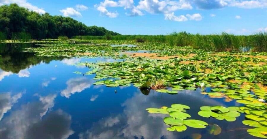 Private Tour from Bucharest to Danube Delta 2 Days Tour - Unpacking the 2-Day Itinerary: What to Expect on Your Adventure