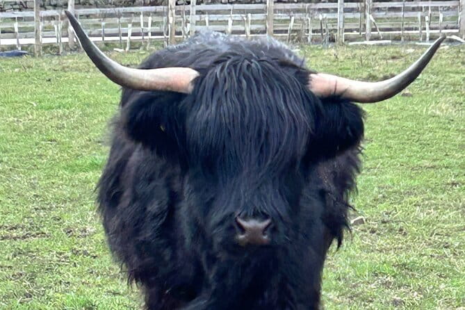 Private Tour of the Highlands, Glencoe and Castles from Stirling - Final Thoughts