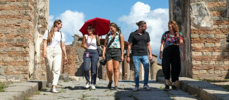 Private Tour to Sorrento Coast Pompeii and Vesuvius - Transportation and Logistics: Comfort and Efficiency