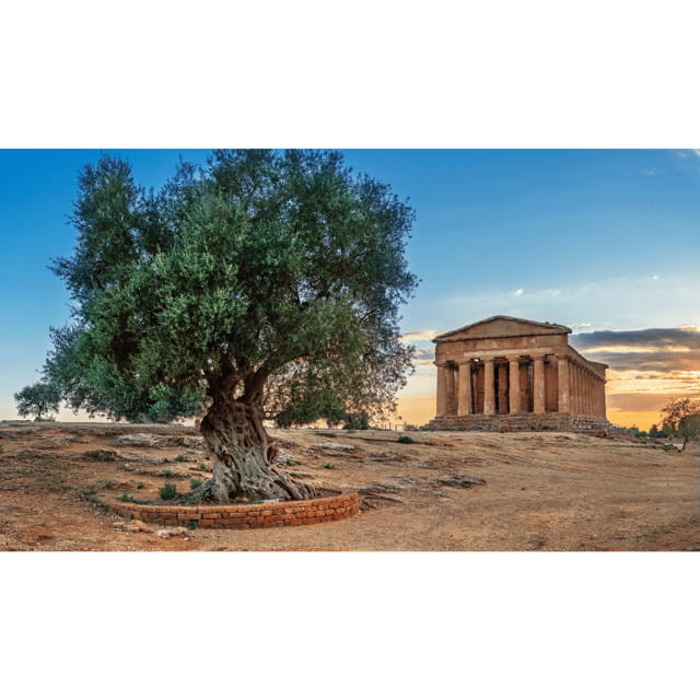 Private Tour Valley of the Temples and Scala dei Turchi - Price and Overall Value