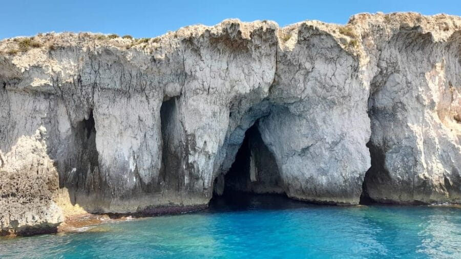 Private tour with typical homemade products and full beverage - Price and Logistics: Analyzing the Value