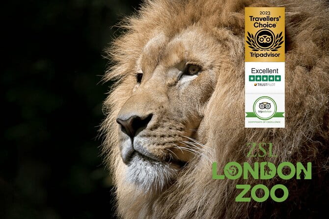 Private Transfer between London & Tilbury Cruise Terminal / Hotel - The Itinerary and Experience Breakdown