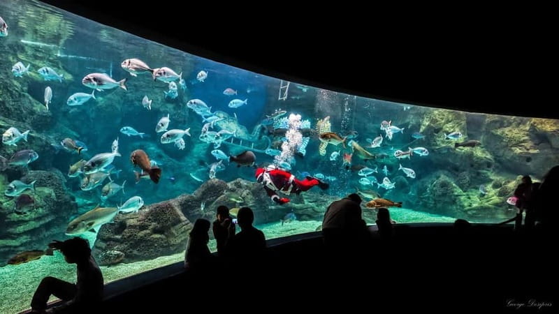 Private Trip From Rethymno to Dinosauria Park & Cretaquarium - Exploring the Day Trip in Detail