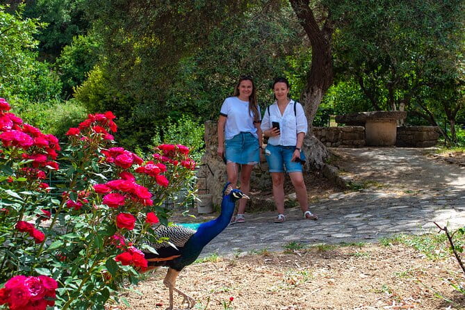 Private Trip Through the Heart of Crete, Picnic & Wine Tasting - Who Will Love This Tour?