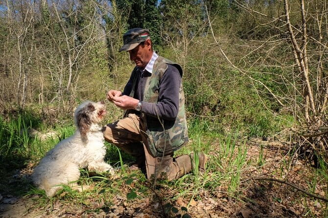 Private Truffle Hunt in Tuscany - Who Will Love This Tour?