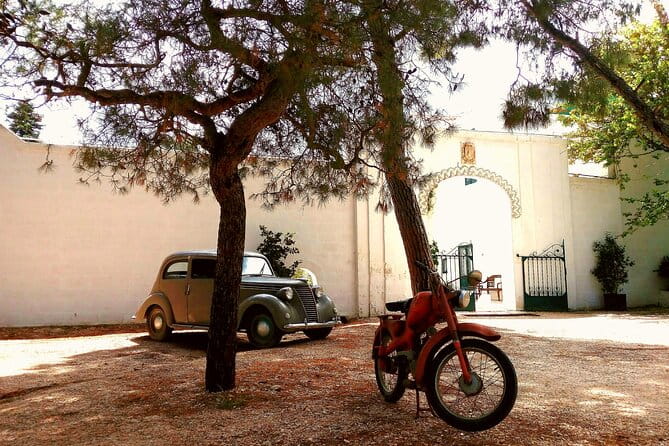 Private Tuk Tuk Tour of the Millenary Olive Groves in Ostuni - Final Thoughts