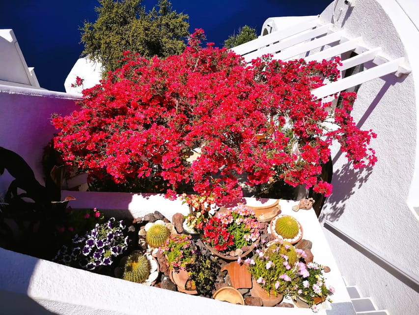 Private Unseen Authentic Santorini Half Day Shore Excursion - FAQs