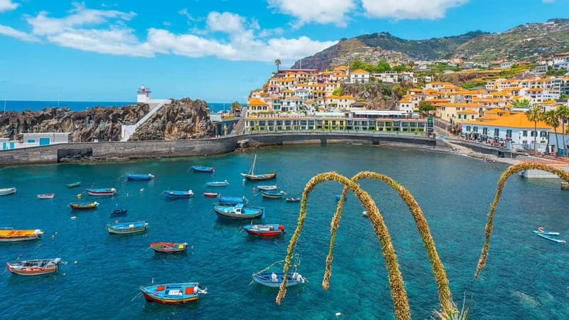 Private Vespa Tour Funchal & Câmara Lobos (3hrs) - Coastal Drives and Hidden Spots