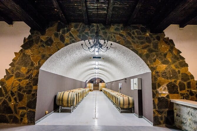 Private Wine Tasting Activity at Lipovac Winery - Exploring the Tour Itinerary: What You’ll Experience
