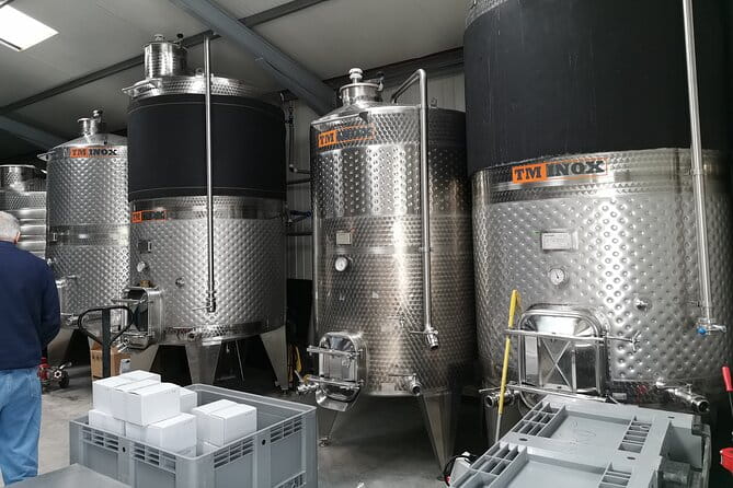 Private Wine Tasting in Cellar and the Winemaking process - Chitorani and Casa Timis: A Historic House and Vineyard Escape