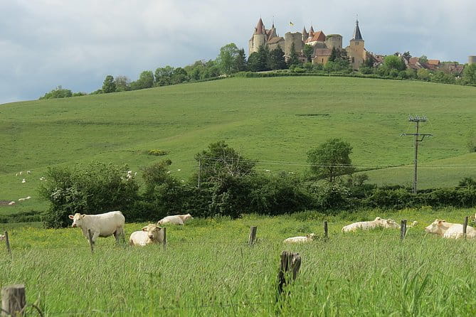 Private Wine Tour to Burgundy Region from Paris - Price and How to Assess Value