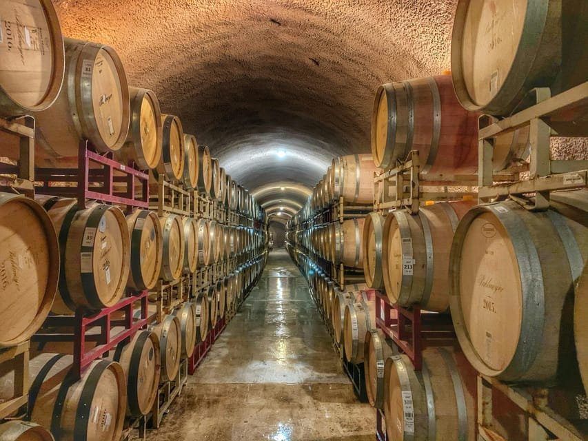 Private winery tour - The Sum Up: Who Is This Tour Best For?