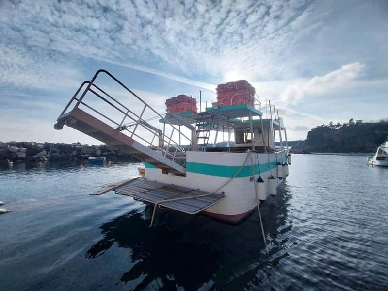 Procida: Sea View Private Boat Tour with Snorkeling - What The Reviews Say — Authentic Perspectives