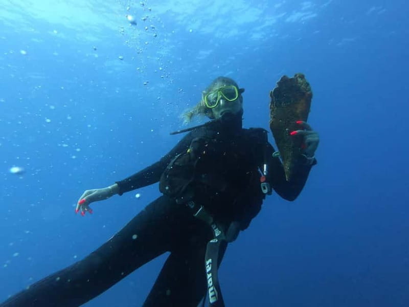 Professional Diving & Blue Cave Tour with Lunch from Split - Price and Value