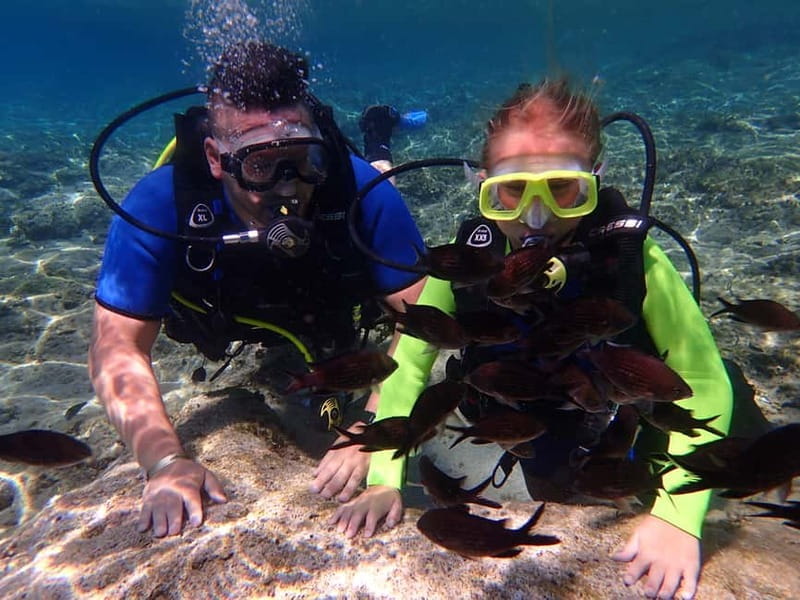 Protaras: Bubblemaker Diving Course & 2-Meter Dive - The Value of a Safe, Guided Introduction