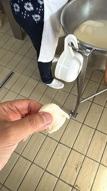 Public Tour of Pompeii Excavations: Wine and Cheese Tasting and Lunch - The Drive to the Winery: A Scenic 30-Minute Ride