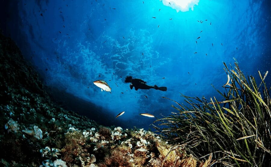 Puerto de Soller: Train and Discover Scuba Diving - The Guided Scuba Experience: What to Expect