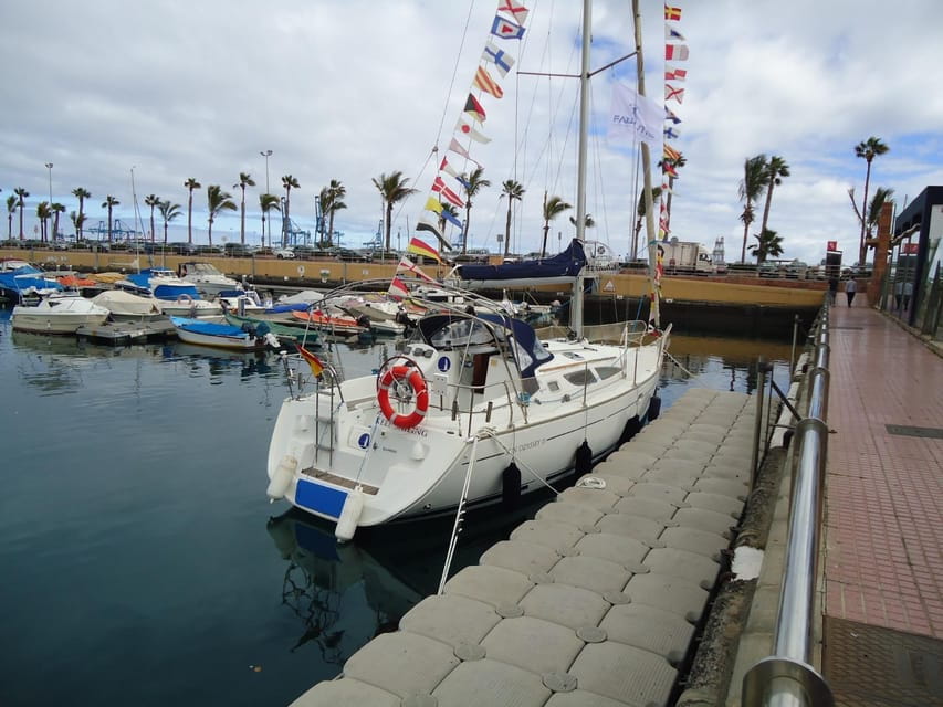 Puerto Rico: Sailing excursion with swim, drinks and tapas. - Why the Snorkeling and Swimming Matter