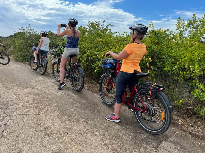 Puglia: Guided E-bike Tour from Coast or Countryside - Who Is This Tour Best For?