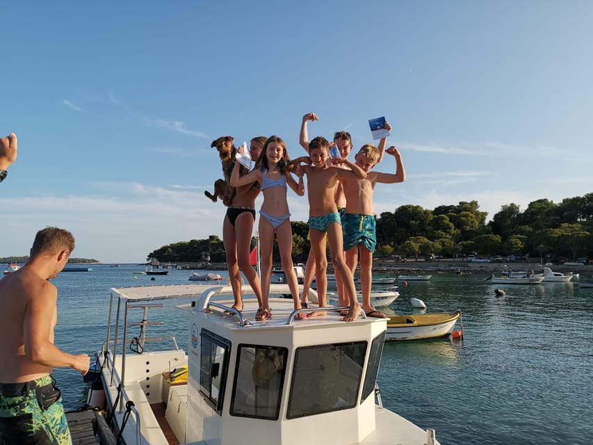 Pula Dolphin Watching Boat Trip - Who Should Consider This Experience?