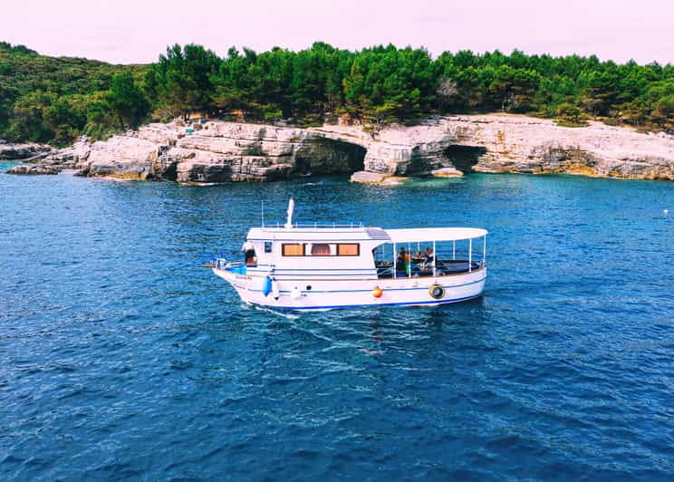 Pula: Private Brijuni Tour With Swimming, Dinner & Drinks - What to Expect During the Swim and Snorkel Breaks