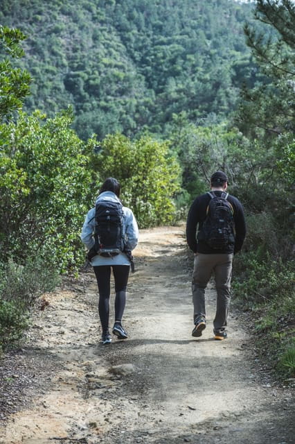 Punta Baffe: hiking immersed in the Mediterranean bush overlooking the sea - Is It Worth the Price?