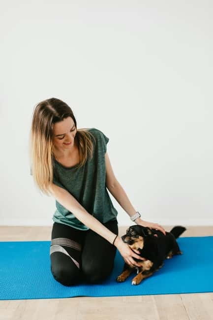 Puppy Yoga in Riga - Why Puppy Yoga in Riga Offers True Value