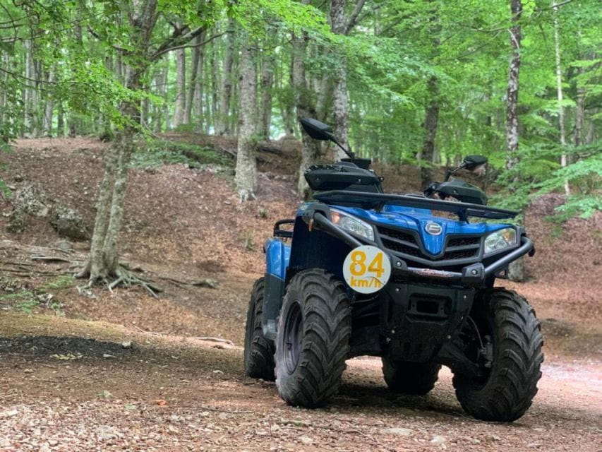 Quad Adventure - Mt. Faito & Vico Equense - Exploring the Itinerary in Detail: What You Can Expect