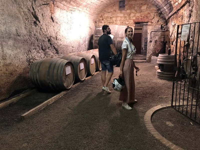 Quad & E-Bike - Monferrato Hills - Unesco Cellars Tour - Who Will Love This Tour?