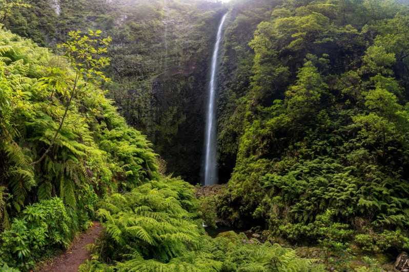 Queimadas Caldeirão Verde Madeira Island Walk - Discovering Madeira’s Natural Treasure: The Queimadas to Caldeirão Verde Walk