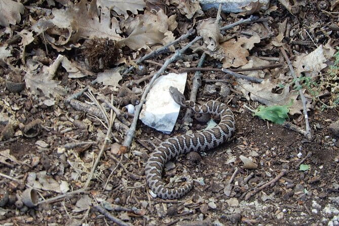 Querceti di Quasano: excursion in the Alta Murgia National Park - Who Would Love This Tour?