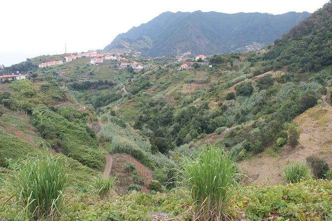 Referta - Castelejo Walk - Flora and Nature: An Aromatic Tour