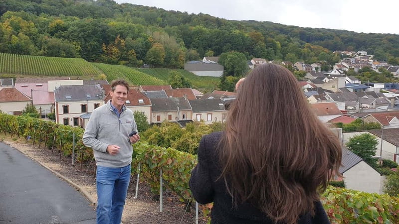 Reims : Discovery Small producers Champagne Day tour - Who Is This Tour Best For?