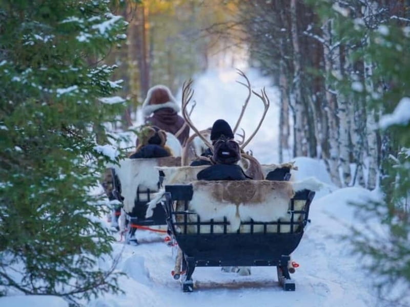 Reindeer Safari at a 200-Year-Old Farm & Long Sled Ride - The Practicalities: What You Need to Know