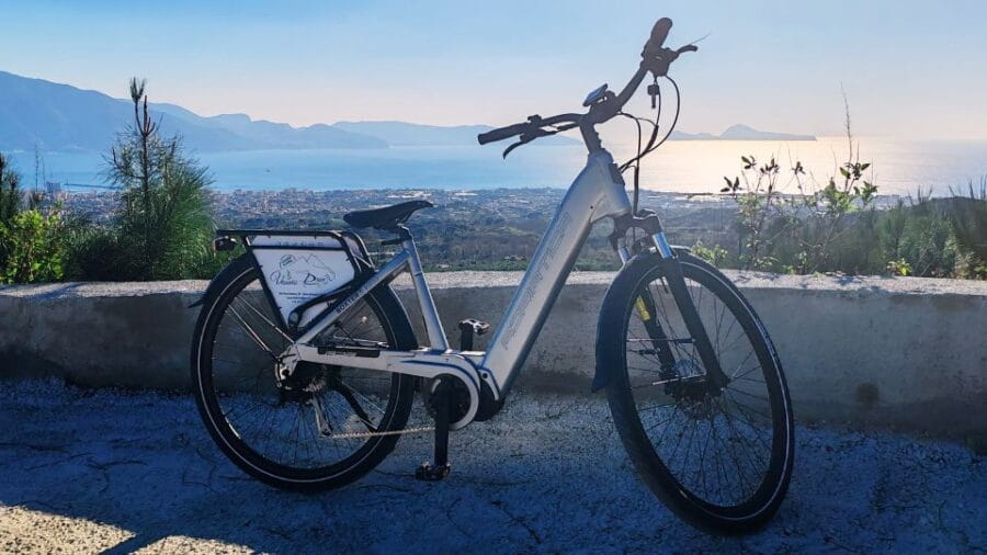 Rent e-bike for the Vesuvius, and Wine Tasting Tour - A Deep Dive into the Vesuvius and Wine Tasting Tour