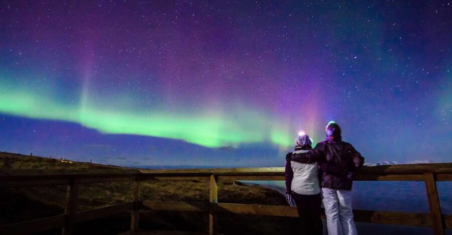 Reykjavík: Group Northern Lights Tour with Pics & Hot Cocoa - The Guides: Making or Breaking the Night