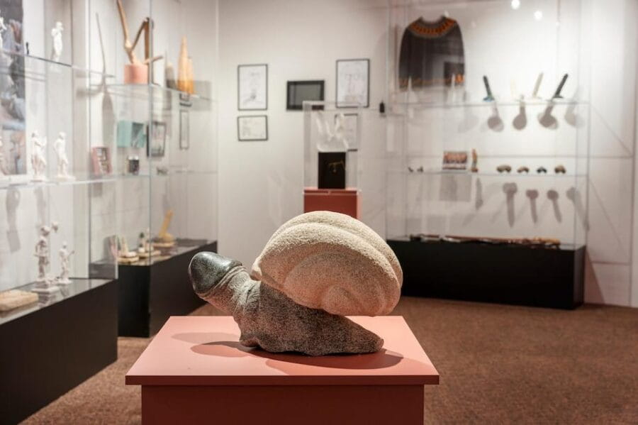 Reykjavik: Icelandic Phallological Museum Entry Ticket - Exploring the World’s Only Museum Dedicated to Phallology