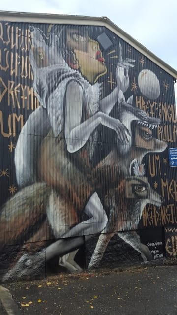 Reykjavik: Street Art Walking Tour - The Value of a 2-Hour Guided Tour