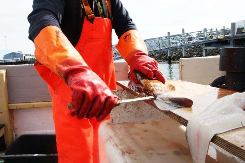 Reykjavik: Traditional Sea Fishing with BBQ Feast - The Joy of Catching Your Own Dinner