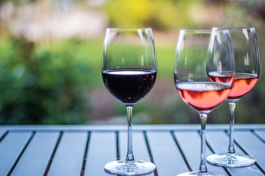 Rhine Valley: Half Day Tour from Frankfurt - Discovering the Rhine Valley — What You Can Expect from the Tour