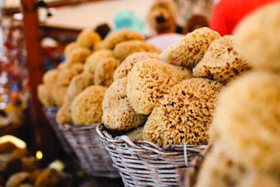 Rhodes: Day Trip to Symi Island by Fast Boat - Starting Point and Logistics